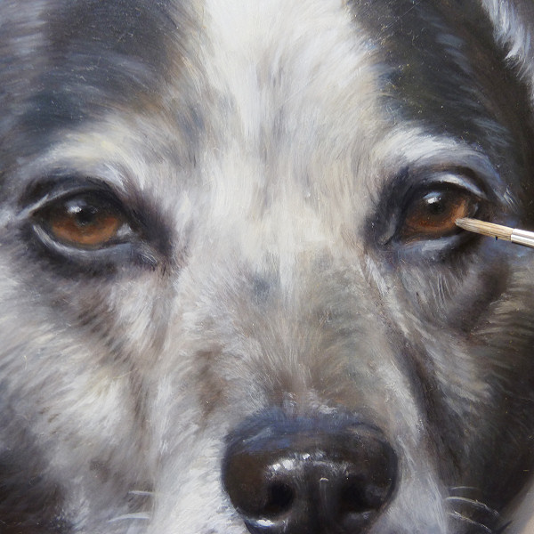 Dogportrait painting in progress by Marjolein Kruijt