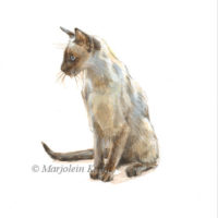 Siamese cat illustration, 10x10 cm, Marjolein Kruijt (sold)