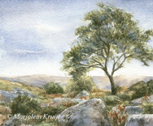 Dartmoor landscape in watercolour- painting by Marjolein Kruijt