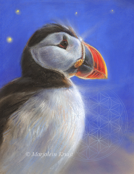 Animal sybolism - the puffin art by Marjolein Kruijt