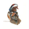 Mandarin duck acrylic illustration by Marjolein Kruijt (for sale)