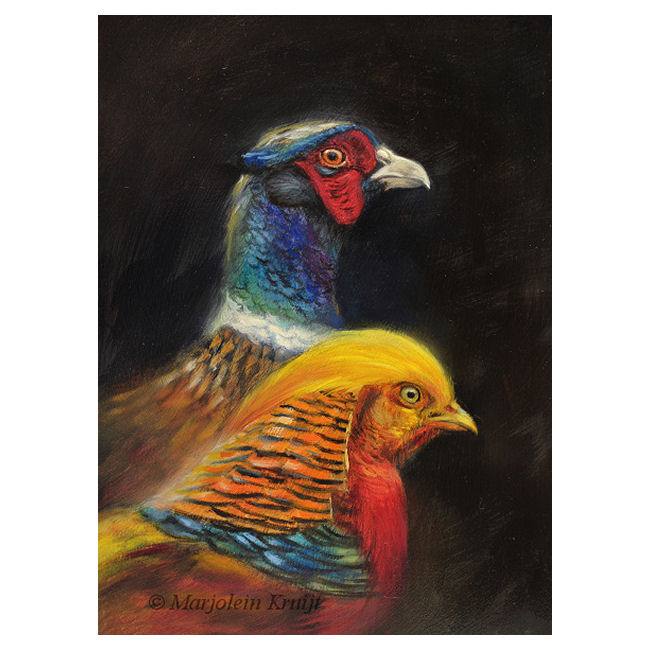 'Kin'-Com. pheasant and Golden pheasant, 15x20 cm, oil painting (for sale)