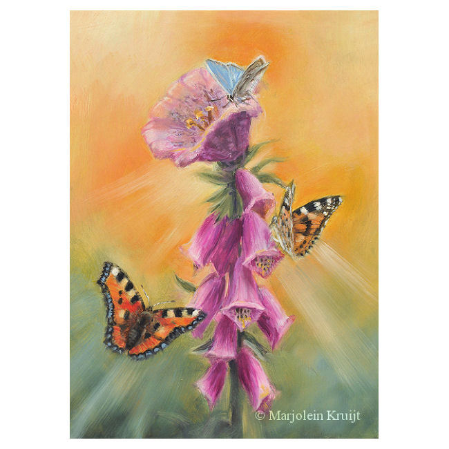'Butterflies and foxglove', 13x18 cm, oil painting (for sale)
