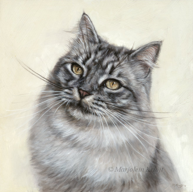 'Siberian cat', 30x30 cm, oil painting (sold/commissioned)