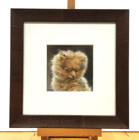 'Mini Pomeranian puppy', portrait painting in acrylic, Marjolein Kruijt (for sale)
