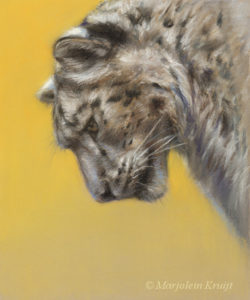 'Snowleopard, 24x20 cm, pastel (for sale)