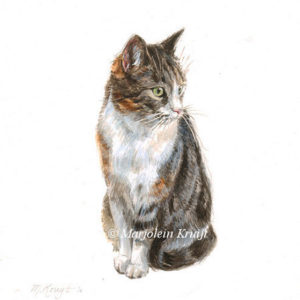 Miniature portrait, tabby cat, acrylics, 10x10 cm, Marjolein Kruijt (sold)