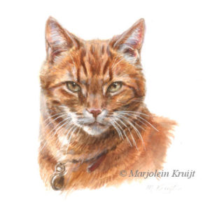 'Red cat', miniature 10x10 cm, Marjolein Kruijt (sold/commission)