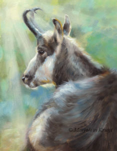 'Chamois', 18x13 cm, oil painting (for sale)