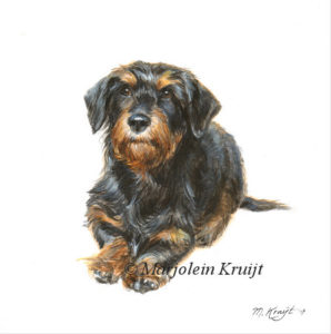 Dachshund, miniature pet portrait in acrylics, Marjolein Kruijt (sold/commissioned)