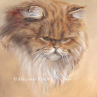 Persian cat study, oil painting, Marjolein Kruijt