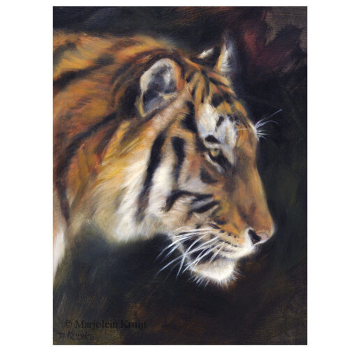 'Tiger', oil painting 24x18 cm, (for sale)