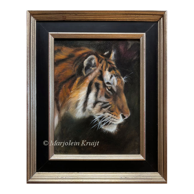 'Tiger', oil painting 24x18 cm, (for sale)