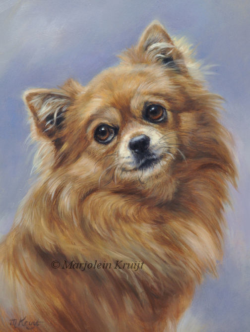 'Chihuahua', 24x18 cm, oil on panel (sold/commission)
