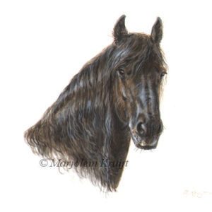 Friesian horse miniature portrait painting 11x11 cm (sold/commission)