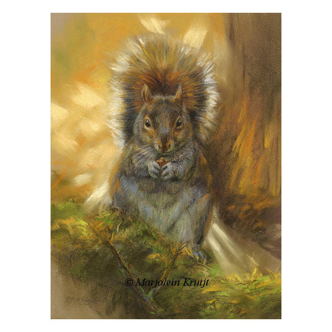 'Squirrel autumn lit', 22x29 cm, pastel painting (for sale)