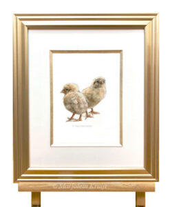 Chicks painting in watercolour (for sale)