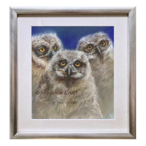 'Owl chicks'-peek a boo, pastel painting (for sale)