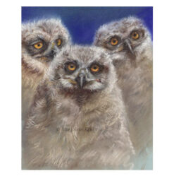 'Owl chicks'-peek a boo, pastel painting (for sale)