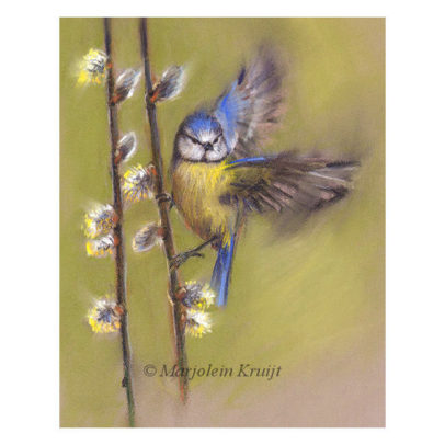 'Blue tit in spring', 28x23 cm, pastel painting (for sale)