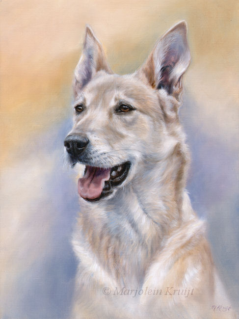 'Podenco'-Figor, 50x40 cm, oil painting (sold/commission)