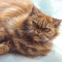 'Red persian cat', 24x30 cm, oil portrait (sold/commission)