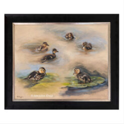 'Spring'-ducklings', 60x50 cm, oil painting (for sale)