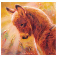 'Sunlit donkey', 21x21 cm, oil painting (for sale)