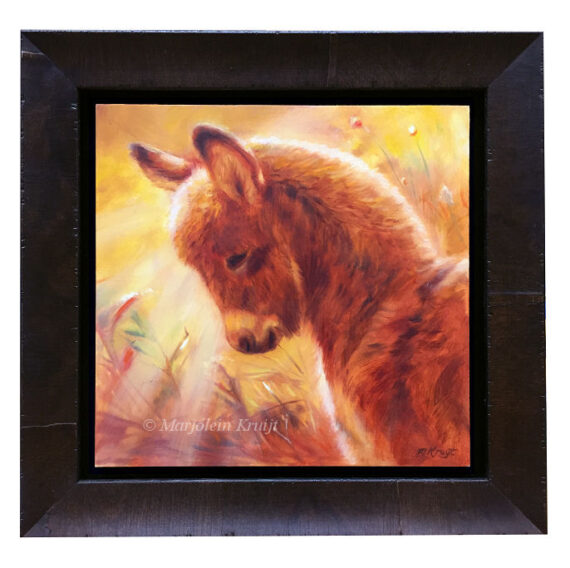 'Sunlit- Donkey', 21x21 cm, oil painting (for sale)