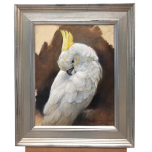 'Sulphur-crested cockatoo', 24x30 cm, oil (for sale)