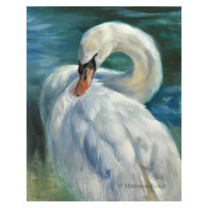 'Graceful'- mute swan, 30x24 cm, oil painting (for sale)