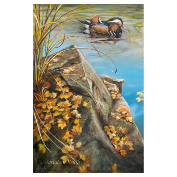 'Autumn colours' -mandarijneend, 60x40 cm, olieverf schilderij (te koop)