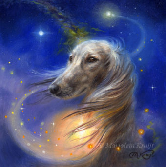 'the Love of dogs' -saluki, 13x13 cm, oil painting on panel (for sale)