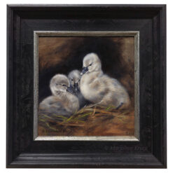 ''Black cygnets', 20x20 cm, oil painting (for sale)