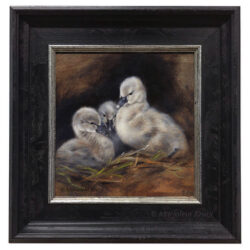 ''Black cygnets', 20x20 cm, oil painting (sold)