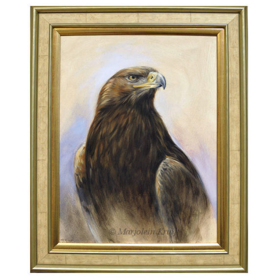 'Golden Eagle on the lookout, 40x30 cm, oil painting (for sale)