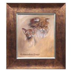 'Two of a kind'- 'Eastern shorthair and persian' cats, 35x30 cm, oil painting (for sale)