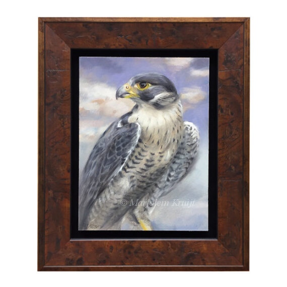 'Peregrine Falcon', 15x20 cm, oil painting (for sale)
