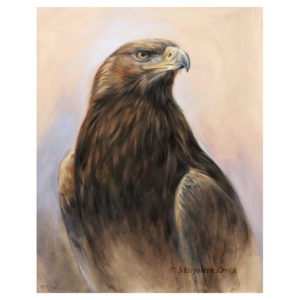 'Golden Eagle on the lookout, 40x30 cm, oil painting (for sale)