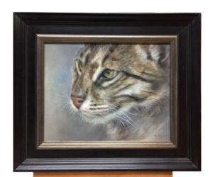 Fishing cat, 30x24 cm, oil painting (for sale)