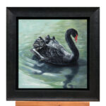 'Gracious'-Black swan, 30x30 cm, oil painting (for sale)