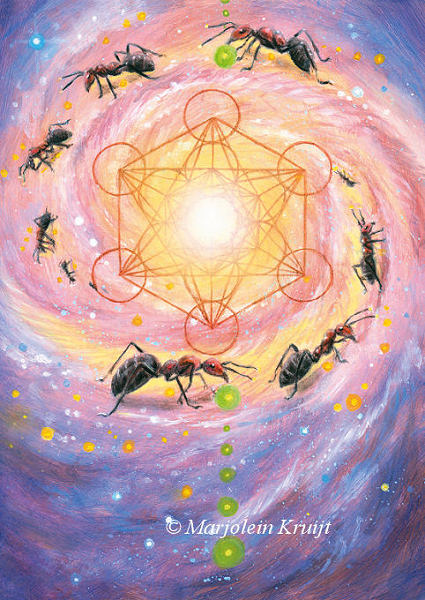 'Ant' -metatron cube, oil painting (N/A)