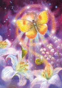 'Butterfly'-metamorphosis, oil painting (published as oracle card)