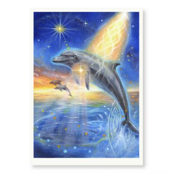 'Dolphin' - limited edition print