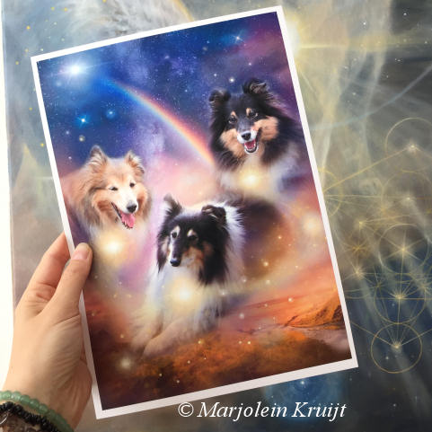 Spirituele huisdier en honden portretten in opdracht - Marjolein Kruijt