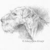 'Airdale terrier', 13x18 cm pencil drawing incl frame (for sale)
