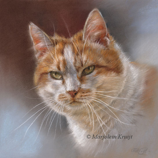 'Cat portrait - Dikkie dik', 25x25 cm, pastel (sold)