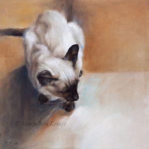 'Siamese', 30x30 cm, oil painting (for sale)