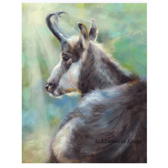 'Chamois', oil on panel, 18x13 cm (for sale)