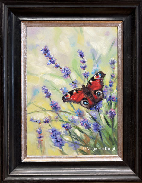 Peacock butterfly on lavender incl .frame (for sale)